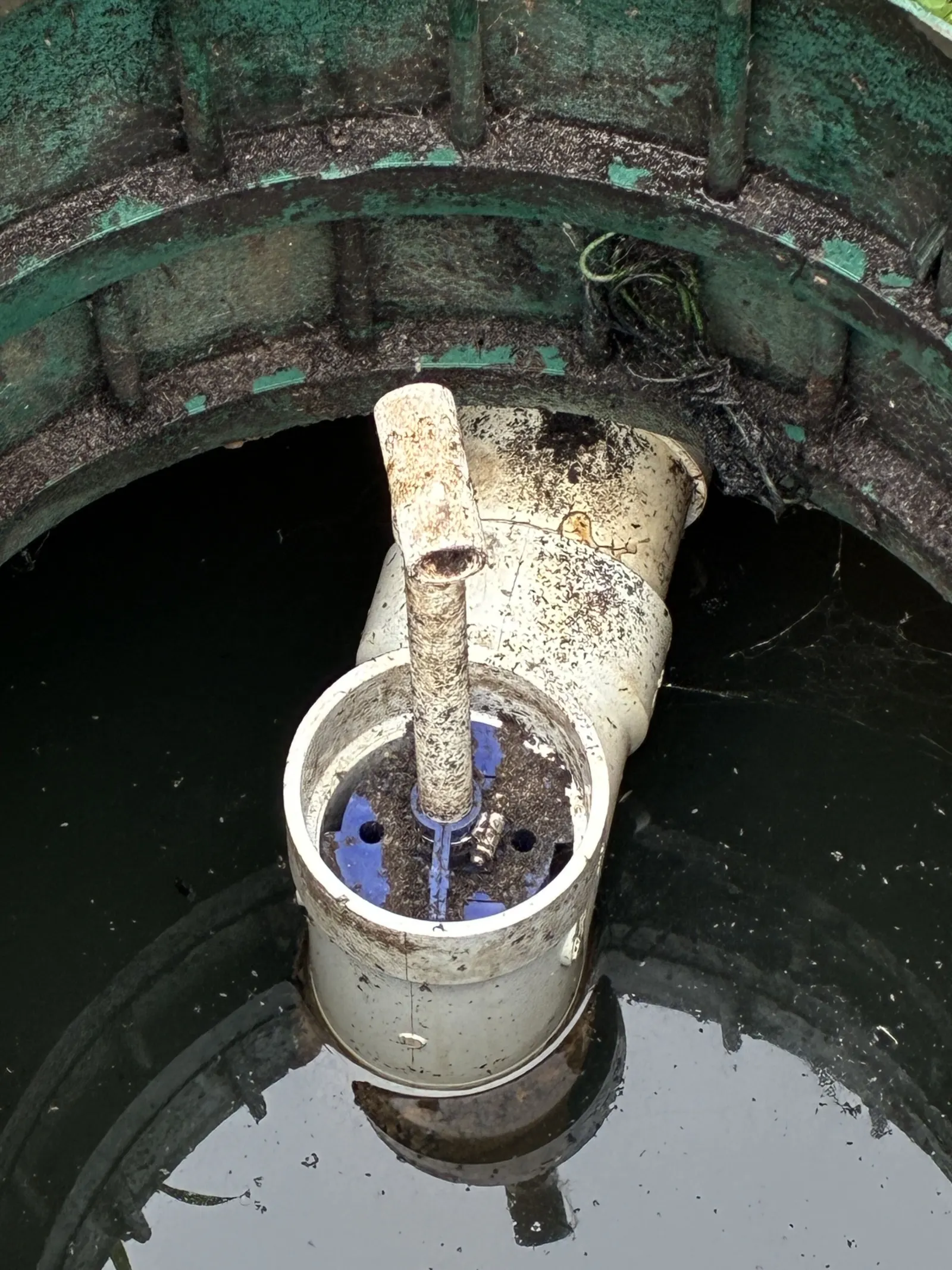 Pump and float assembly inside a septic tank riser